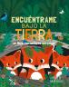 Encuéntrame... Bajo la tierra