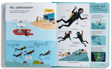 209027_animales_marinos_1