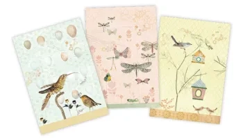 Set de 3 cuadernos de Miranda